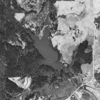 Aerial photo of Forest Lake, 1940