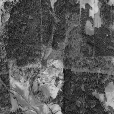 Aerial photo of McDaniel Lake, 1940