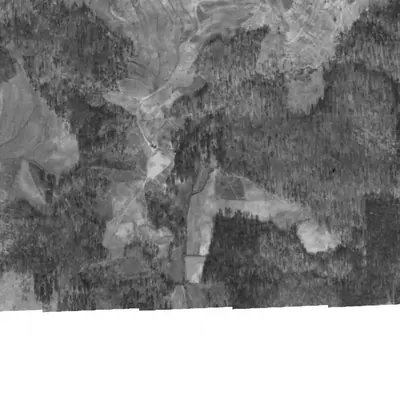 Aerial photo of Walden Lake, 1940