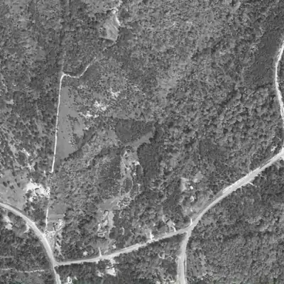 Aerial photo of Kings Cliff Lake, 1955