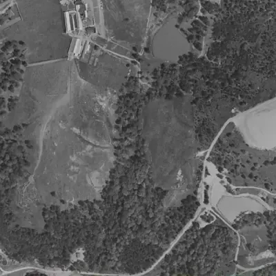 Aerial photo of Mathis Lake (Lower), 1955