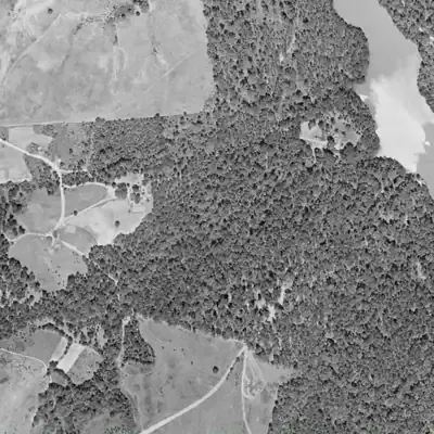 Aerial photo of O'Neal Lake, 1955